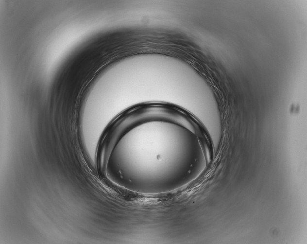 X0000092010052200709061541