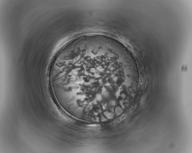 X0000092010053200709061541