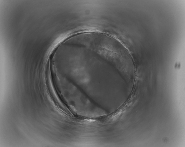 X0000092010055200709061541
