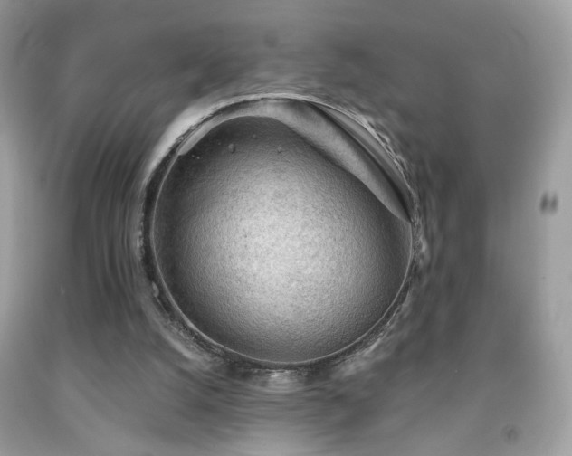 X0000092010056200709061541