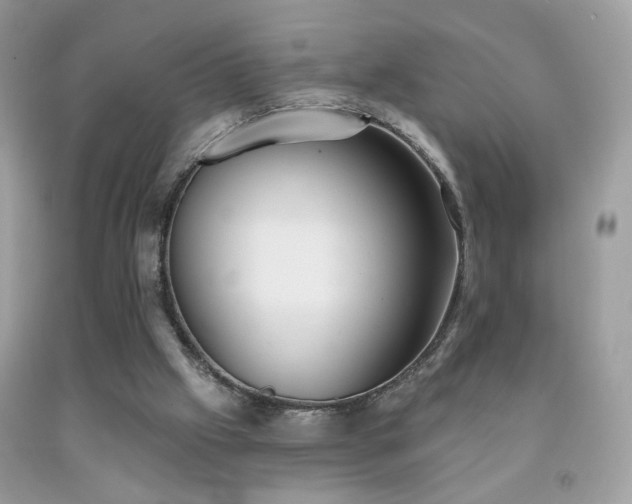 X0000092010057200709061541