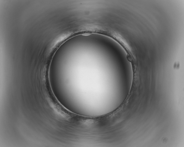 X0000092010058200709061541