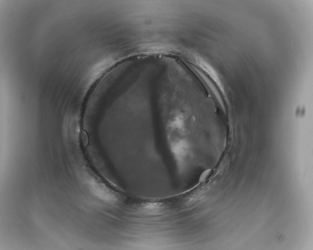 X0000092010059200709061541