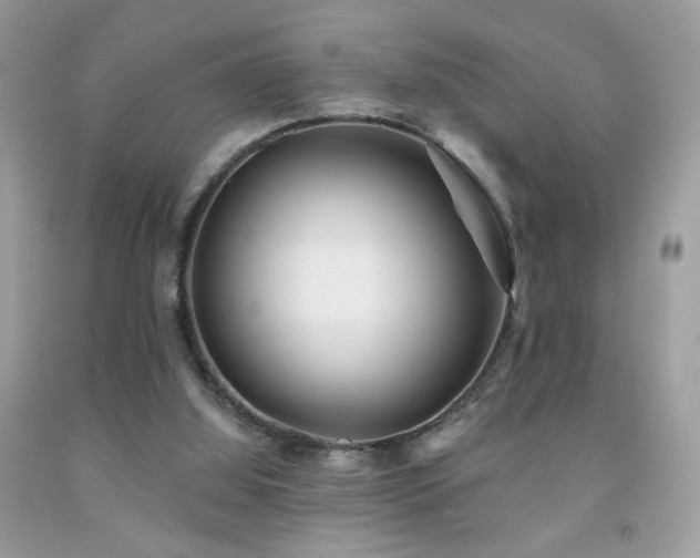 X0000092010060200709061541