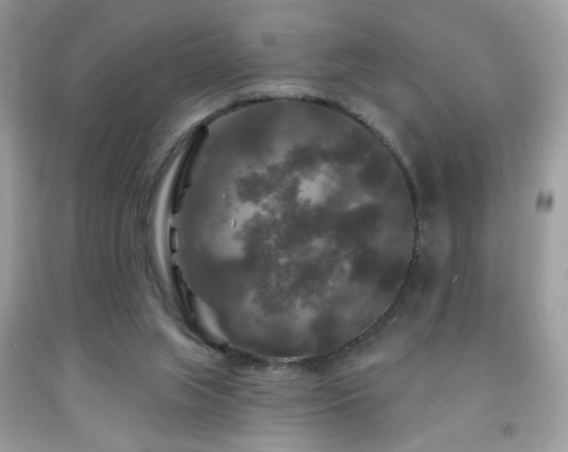 X0000092010063200709061541