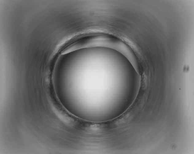 X0000092010064200709061541