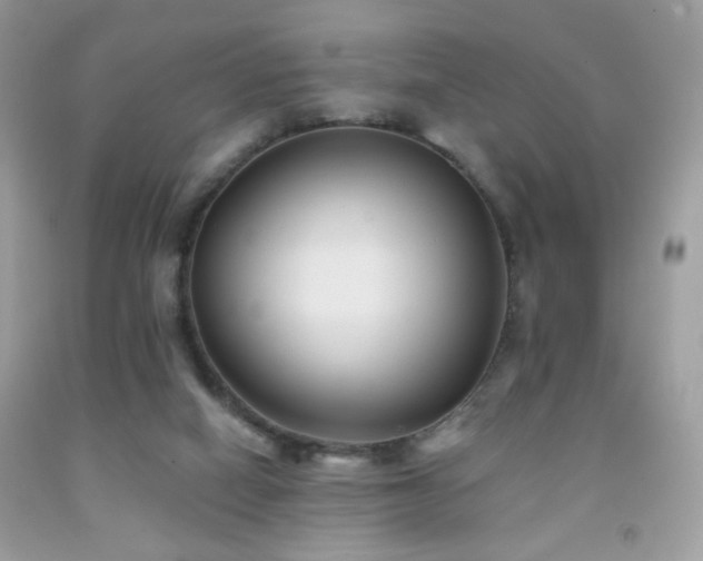 X0000092010066200709061541