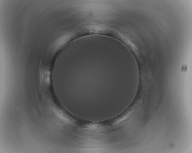 X0000092010067200709061541
