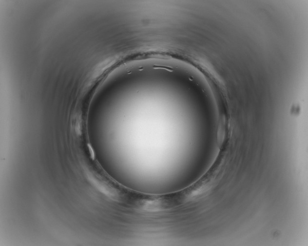 X0000092010068200709061541