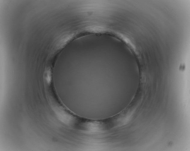 X0000092010069200709061541