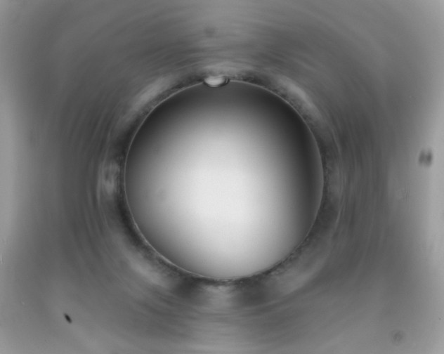 X0000092010071200709061541