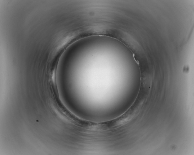 X0000092010072200709061541