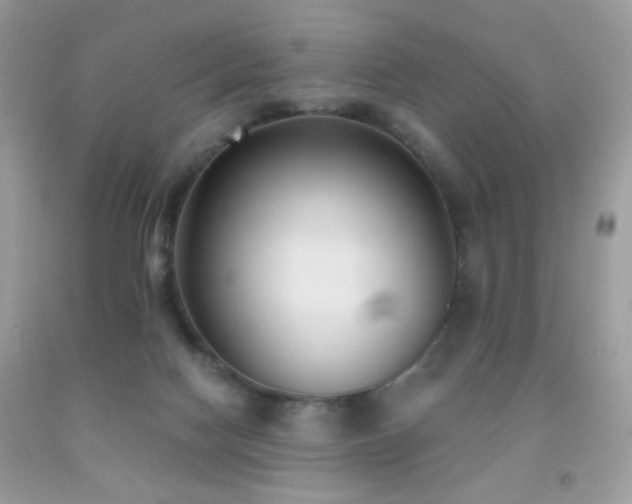 X0000092010074200709061541