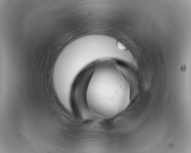 X0000092010075200709061541