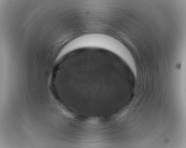 X0000092010076200709061541