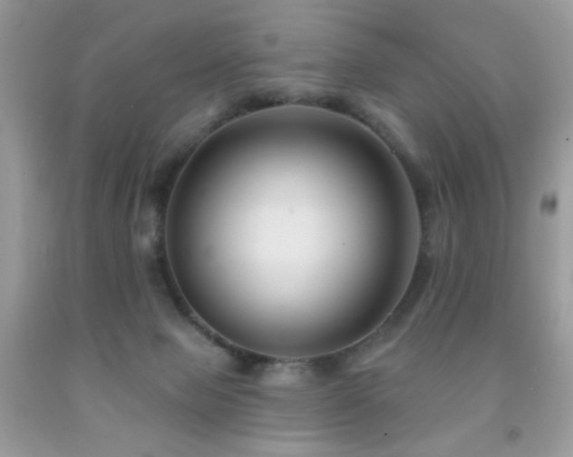 X0000092010077200709061541