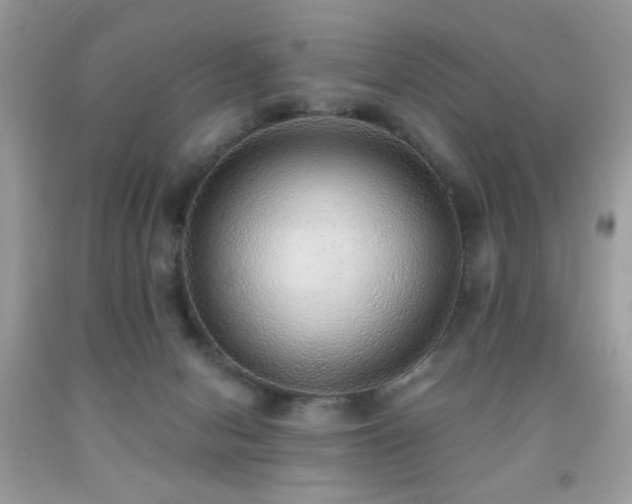 X0000092010078200709061541