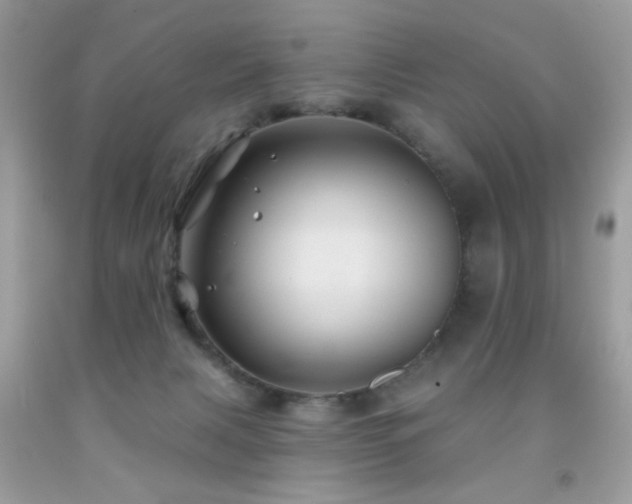 X0000092010079200709061541