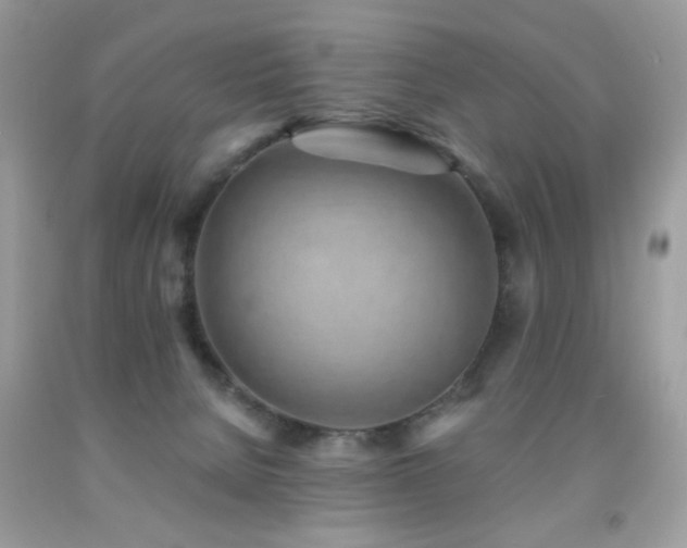 X0000092010080200709061541