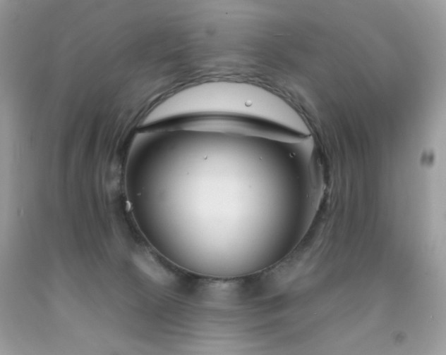 X0000092010081200709061541