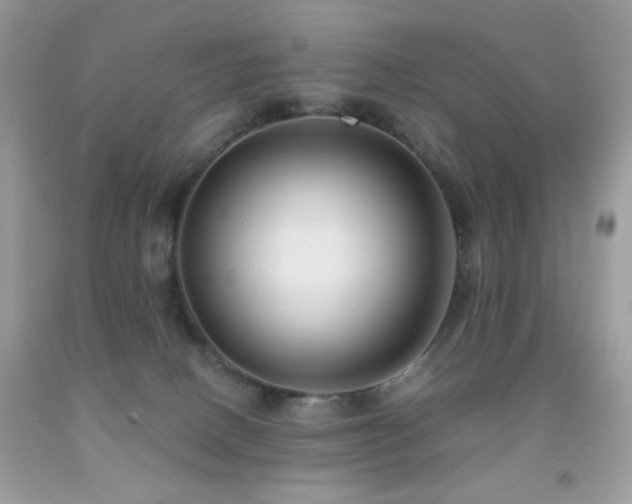 X0000092010082200709061541