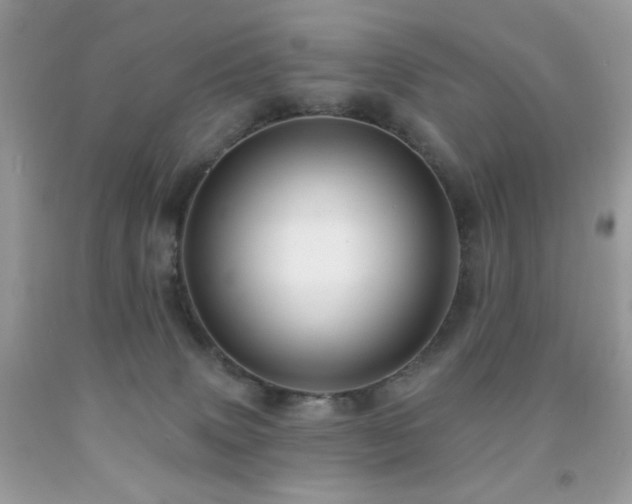 X0000092010083200709061541