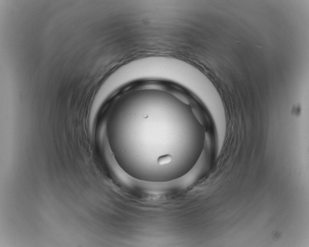 X0000092010084200709061541