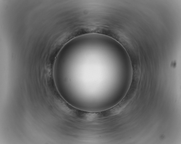 X0000092010085200709061541