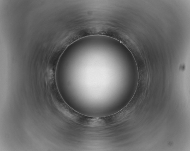 X0000092010087200709061541