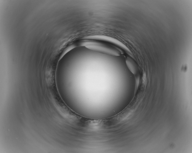 X0000092010088200709061541