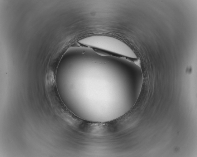 X0000092010089200709061541