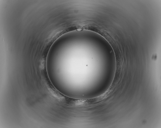 X0000092010090200709061541