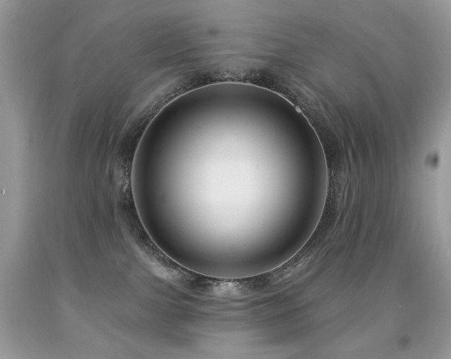 X0000092010091200709061541