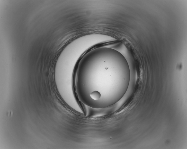 X0000092010092200709061541