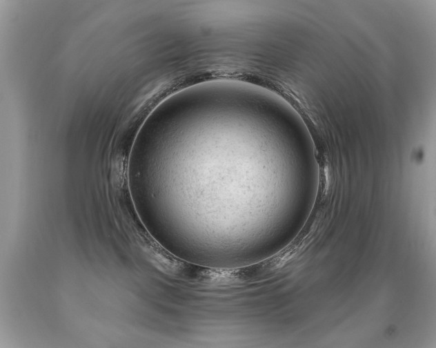 X0000092010093200709061541