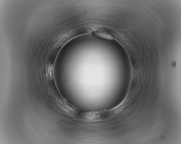 X0000092010094200709061541
