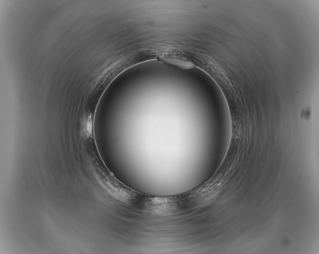 X0000092010095200709061541