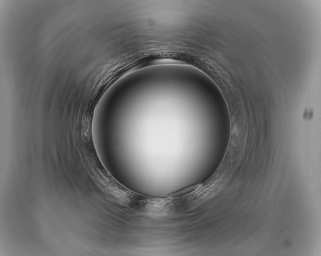 X0000092010096200709061541