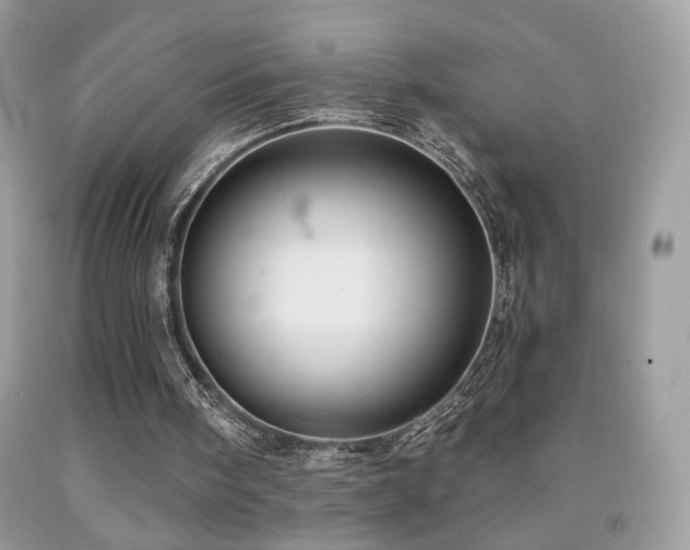 X0000092010098200709061541