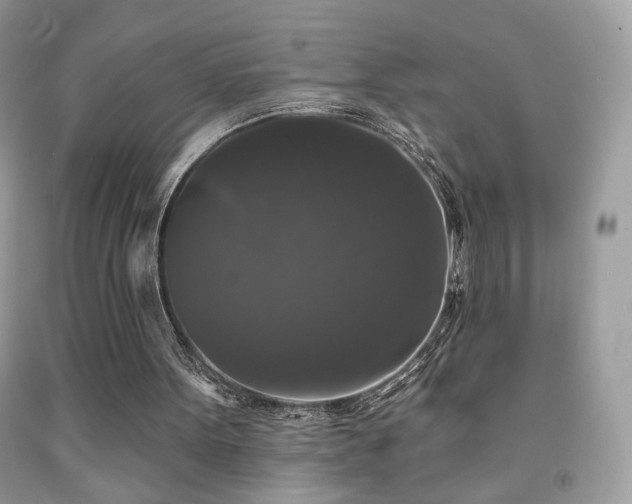 X0000092010099200709061540