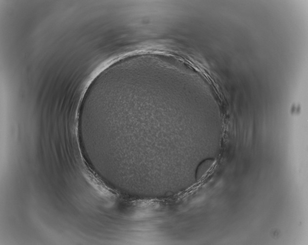 X0000092010100200709061540