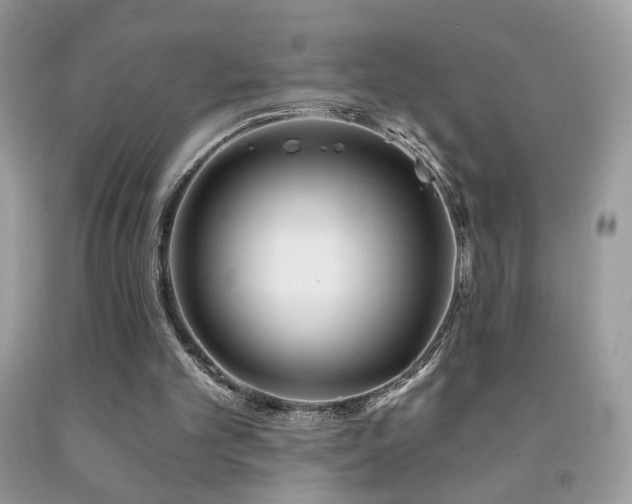 X0000092010101200709061540