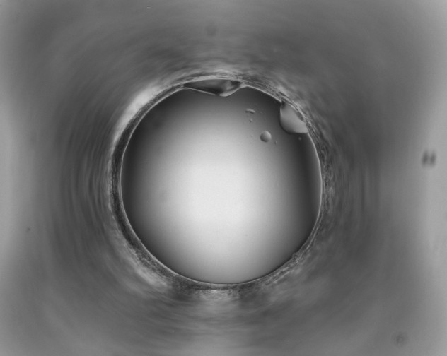 X0000092010102200709061540