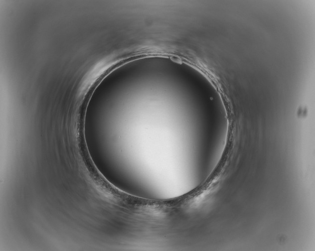 X0000092010103200709061540