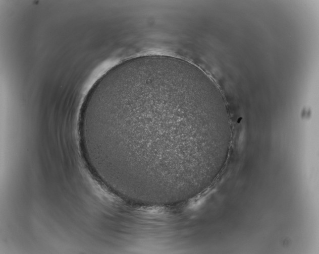 X0000092010104200709061540