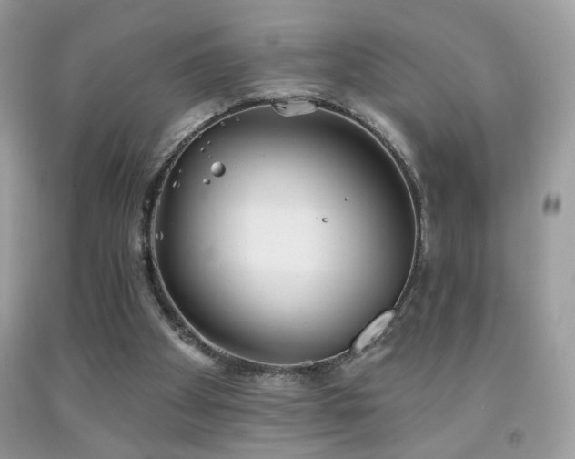 X0000092010105200709061540