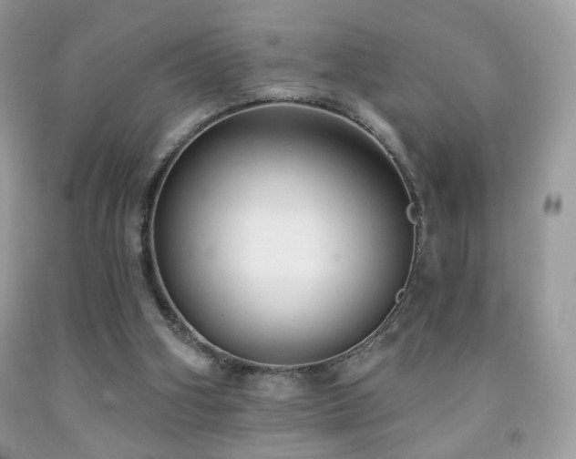 X0000092010106200709061540
