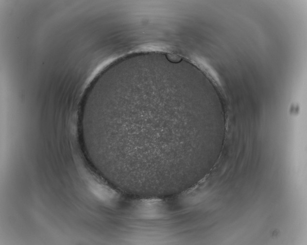 X0000092010108200709061540