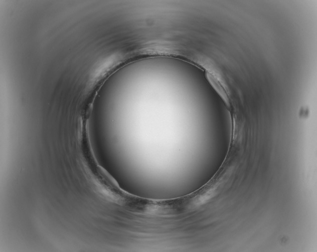 X0000092010109200709061540
