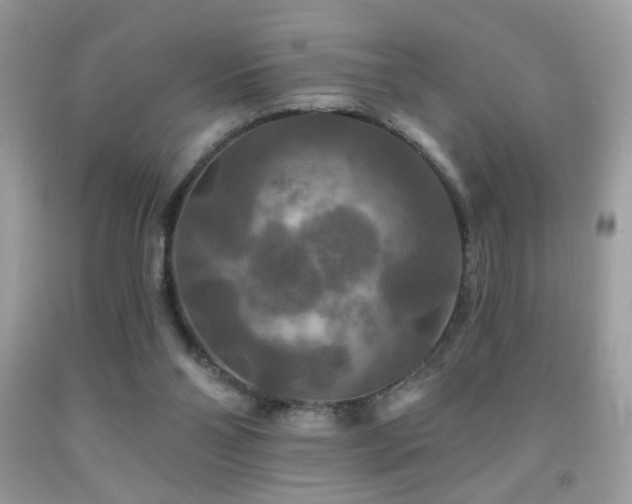 X0000092010110200709061540